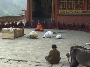 Sky Burial (Home Use DVD)